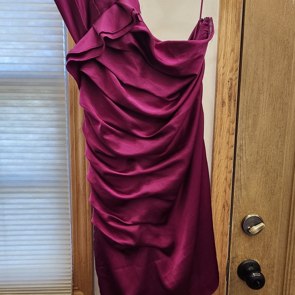 Express Magenta Ruched Asymmetrical One Shoulder Dress